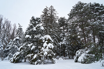 City park covered with snow.