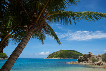 Fototapeta na wymiar View of beautiful beach and coconut tree at Ya nui beach