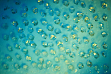 Multicolored elements for abstract design background.