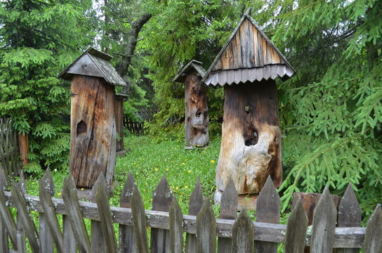 Prymitywne dawne ule z drewnianych pni