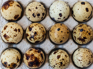 quail eggs