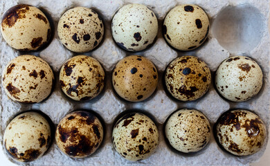 quail eggs