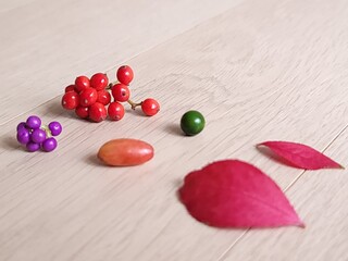 fruits picked up from the forest 01