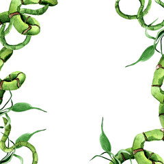 Watercolor bamboo thicket frame. Template for decorating designs and illustrations.