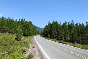 The scenic Everitt Memorial Highway that winds through the beautiful Mount Shasta wilderness in Siskiyou County, Northern California.