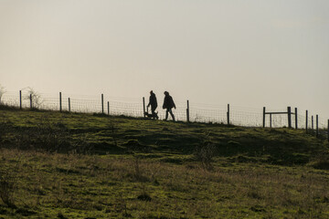 Silhouette of couple walking  dog in country park