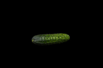Fresh green cucumber on black background
