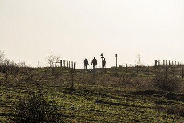 Silhouette of  people walking in country park on cold day