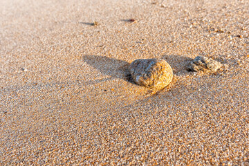Stein am Strand