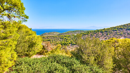 Fototapeta na wymiar Coast of Aegina Island