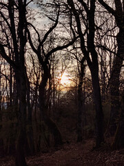 Fototapeta na wymiar Romantischer Sonnenuntergang im Taunus erzeugt ein Gefühl der Melancholie und Traurigkeit, aber auch Schönheit