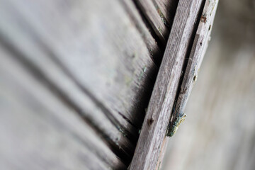 Backgrounds, textures with old paint. And also from metal and wood.