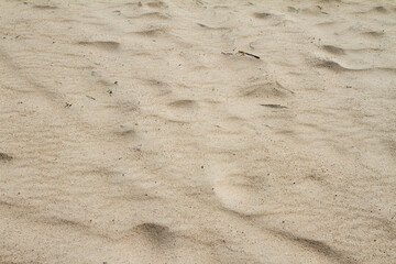 Dunes created on river bank. Sand texture. 