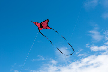 Colorful Kites flying over the sky