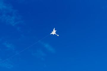 Colorful Kites flying over the sky