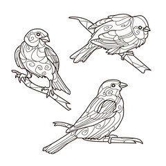 Black and white picture antistress for coloring. Drawing of the  cute birds. Vector illustration for coloring, posters,  stickers, printing on fabric, tattoo.