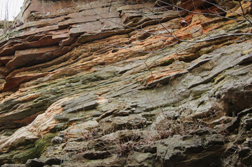 Evidence of Techtonic Activity