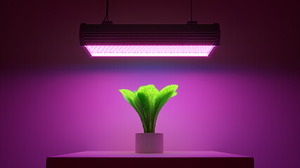 Green salad plant under LED grow light. 3d illustration