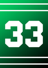 Texture sport Jersey panel Number 33 Green and White