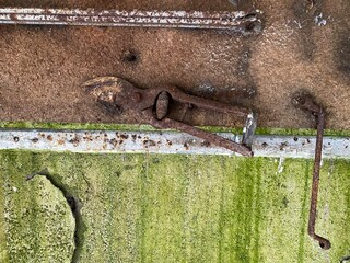 wand, beschaffenheit, alt, abstrakt, baum, bark, flächen, dekor, grunge, rau, piter, holz,...