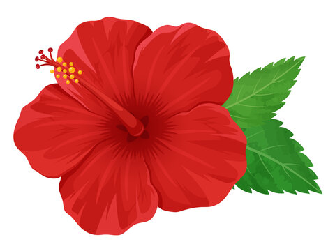 102 293 Best 葉っぱ Images Stock Photos Vectors Adobe Stock