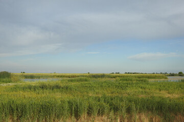 The beautiful scenery of the Merced National Wildlife Refuge, in the northern San Joaquin Valley,...