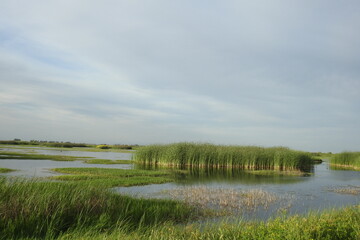 The beautiful scenery of the Merced National Wildlife Refuge, in the northern San Joaquin Valley, California.