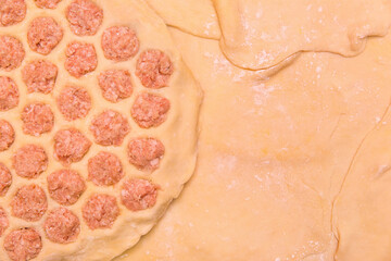 Fototapeta premium Cooking dumplings at home, culinary meal homemade composition, rolled dough food background