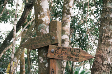 sign in forest