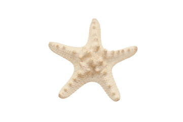 Starfish isolated on white background