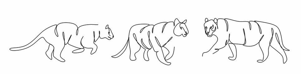 set of continuous tiger line drawings for poster, brochure, banner, invitation card, neon lighting, t-shirt print, isolated on white background.