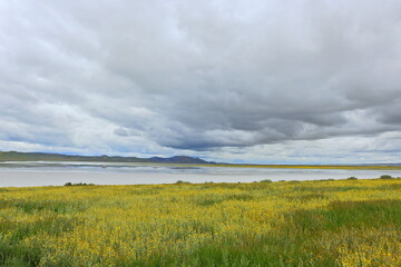 Fototapeta premium Soda Lake surrounded by wildflowers, Carrizo Plain National Monument, San Luis Obispo County, California.