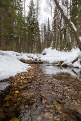 The spring stream flows among pure deep snowdrifts. Melting white snow on the river in springtime