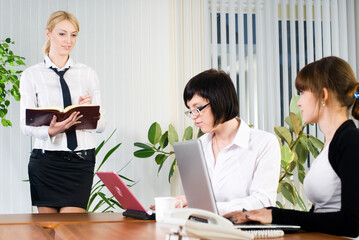 Businesswoman with presentation