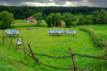 Idyllic green pasture and bee hives in the traditional village on slopes of Fruska Gora mountain, Serbia, on a rainy day