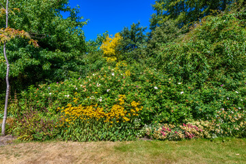 Obraz premium Gorgeous outdoor landscape in Vancouver, Canada.