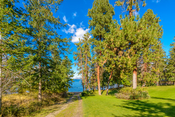 beautiful summer light in a park with trees and rocks
