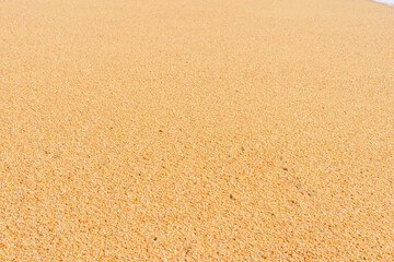 Fototapeta na wymiar texture of yellow sand background