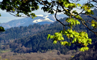 Blick vom Frühling in den Winter in Freiburg