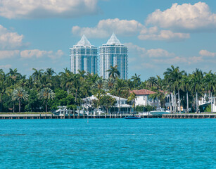 Las torres y las palmas