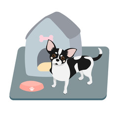 Cute little dog sitting in front of kennel. chihuahua and pet accessories