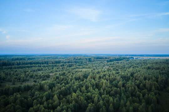 Skyline horizon and deep forest from above