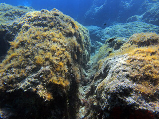 Underwater landscape - rock formations in Adriatic sea near Hvar island, Croatia
