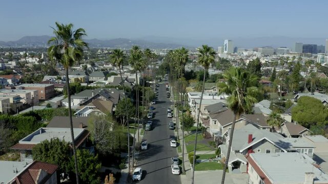 Los Angeles Aerial Drone Suburban Street In Palm Trees Flying Forward Center