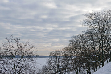 Winter snow-covered river embankment with trees