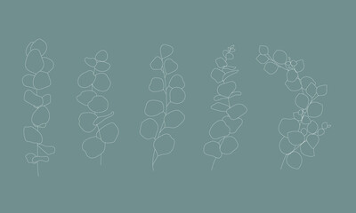 Set of eucalyptus linear illustrations