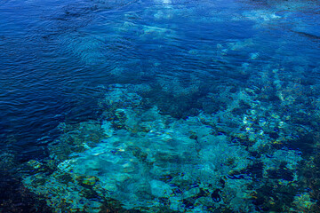 Clear waters at Te Waikoropupu Springs 