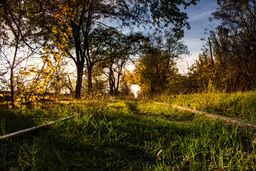 Sunset with railway in autumn