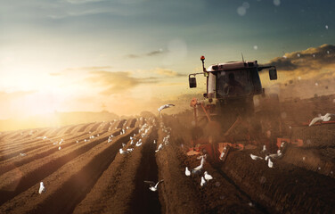 Traktor bei der Arbeit auf einem Feld