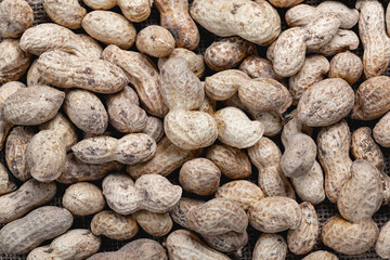 Fototapeta na wymiar Organic peanuts in shell . Heap of peanut closeup.